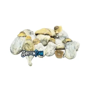 Albino Penis Envy (APE) Dried